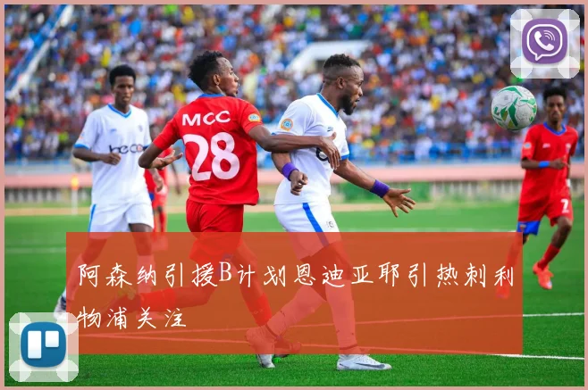 阿森纳引援B计划恩迪亚耶引热刺利物浦关注